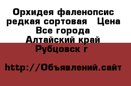 Орхидея фаленопсис редкая сортовая › Цена ­ 800 - Все города  »    . Алтайский край,Рубцовск г.